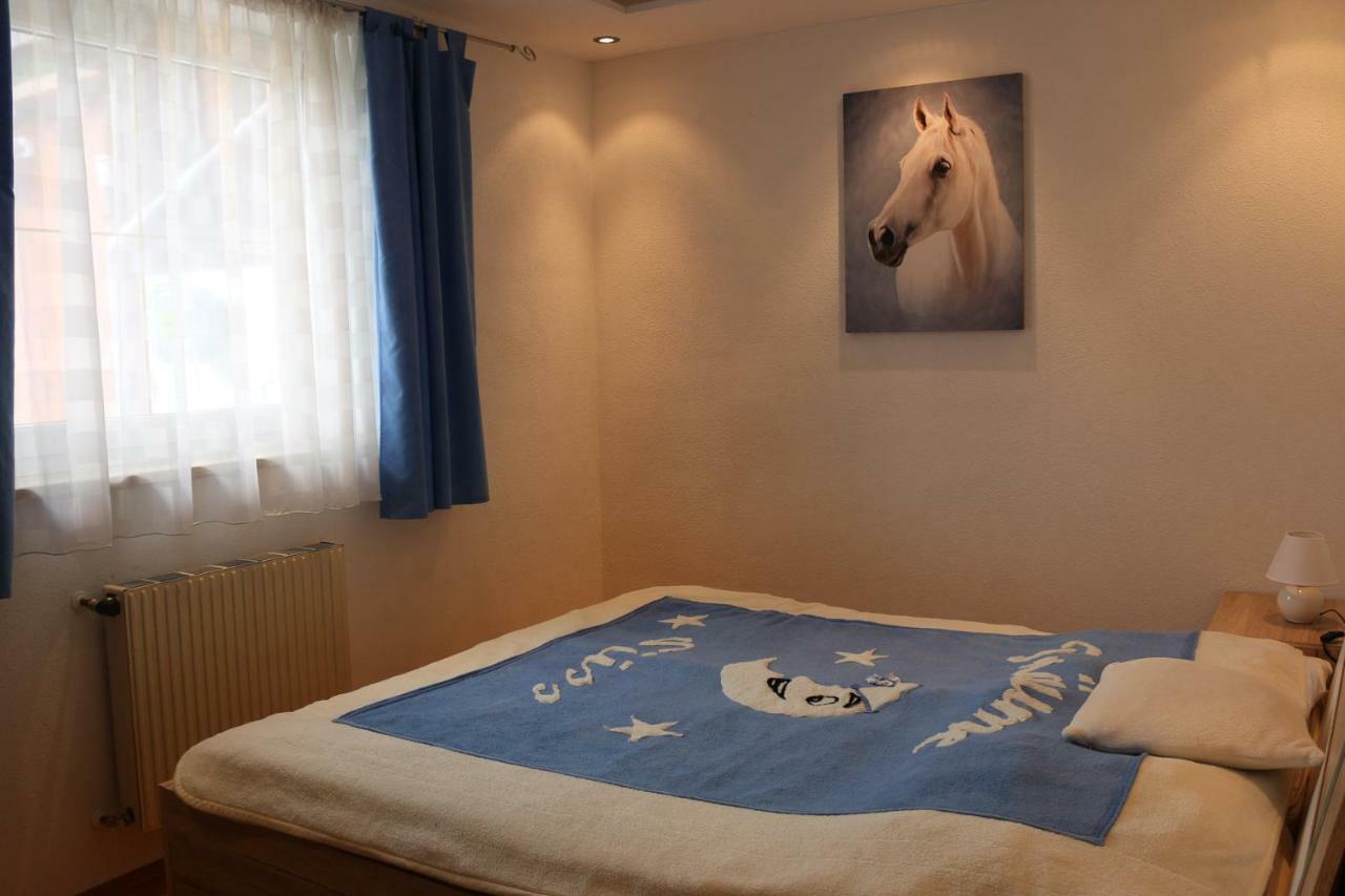 Zur Alpenruhe Apartment Seeboden Luaran gambar